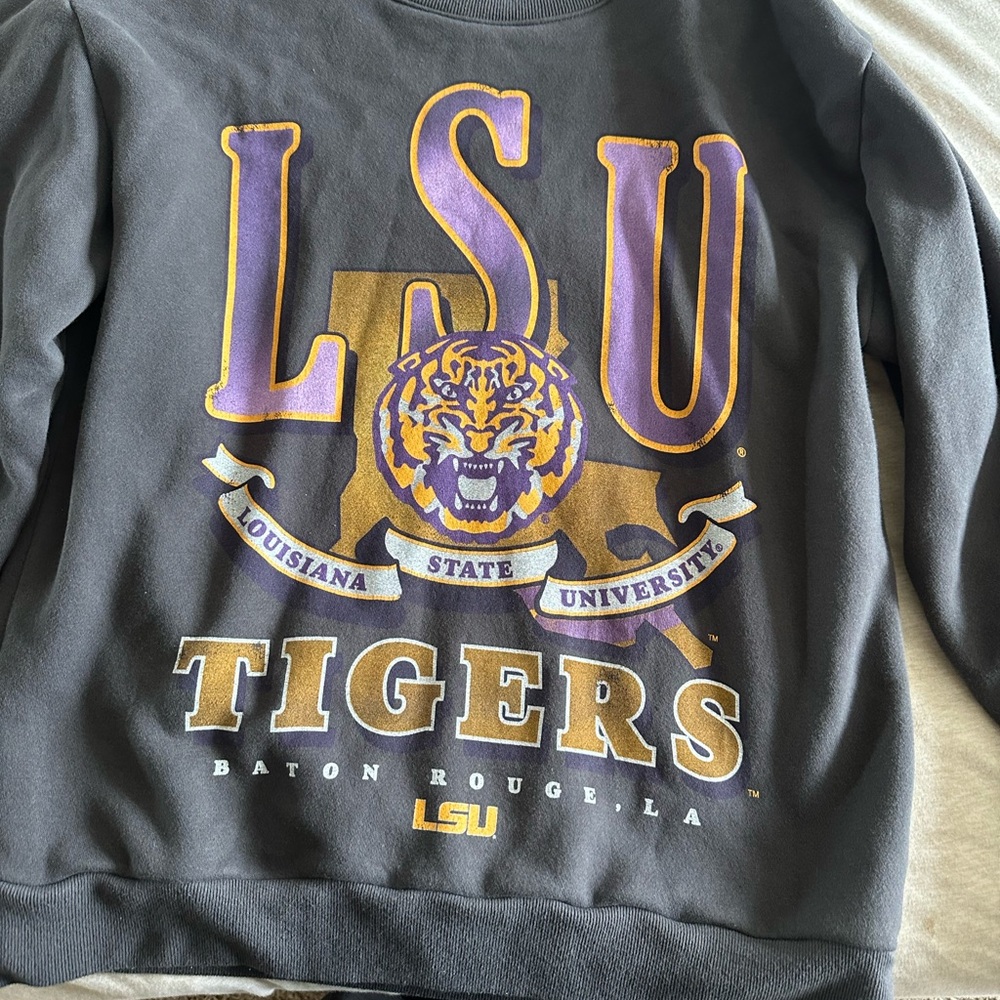 Hollister Gray and Purple Crewneck Sweater